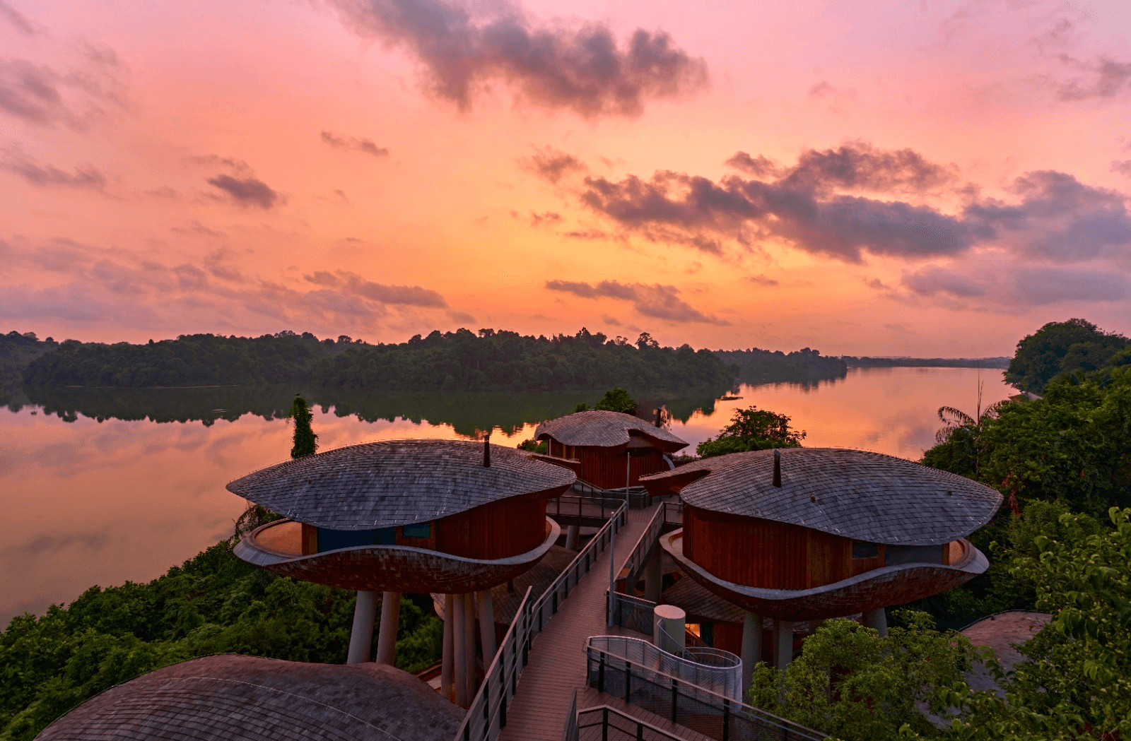 Treehouses designed as seed pods promise nature-inspired retreat in Singapore